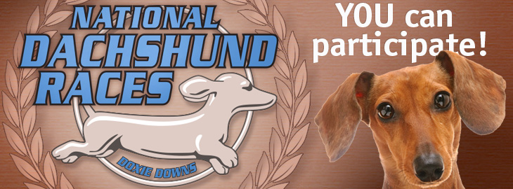 National Dachshund Races imagery