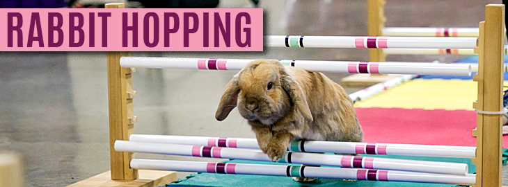 Rabbit-Hopping-Slider